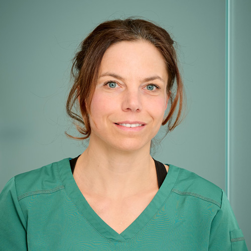 Dr.in Iris Steiner